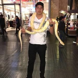 Meet your Posher, Hector